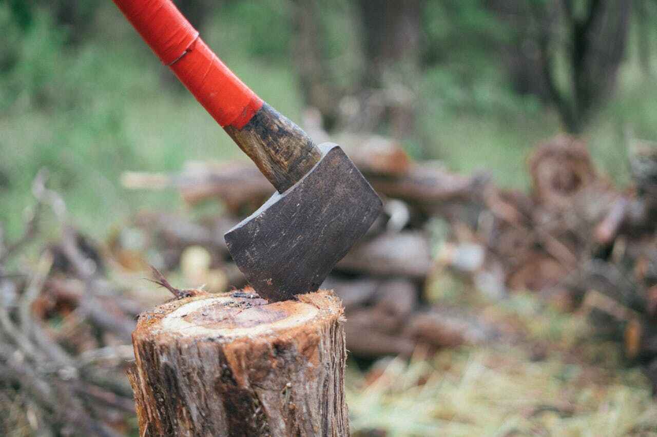 Emergency Storm Tree Removal in Lewiston, UT